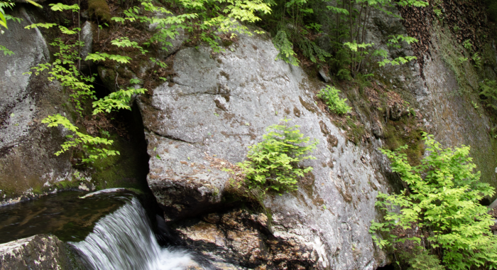 A waterfall at Lost River Gorge.