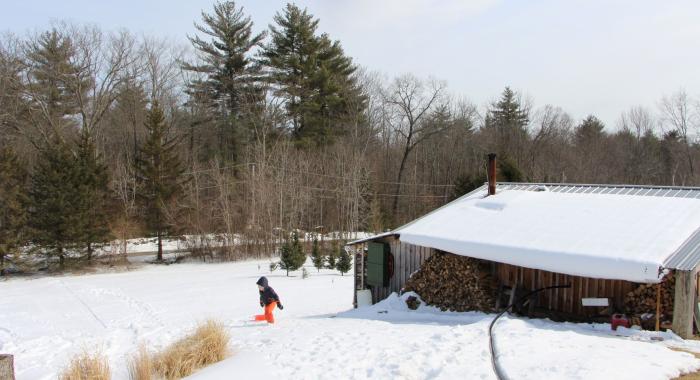 A boy walks up a sledding hill next to a sugarhouse and stacked wood.