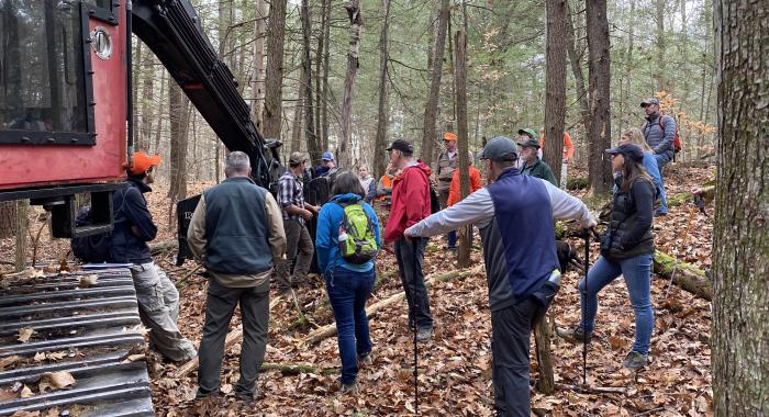 Participants view logging machinery in woods
