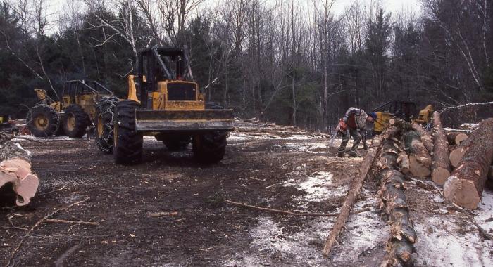 Timber harvest landing skidder and pile of logs.