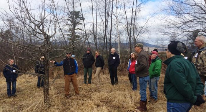 Nigel discusses apple tree pruning technique