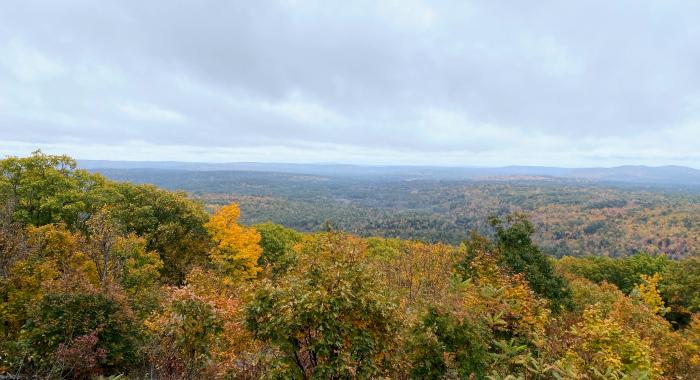 Fall colors as seen from Moose Mountains.