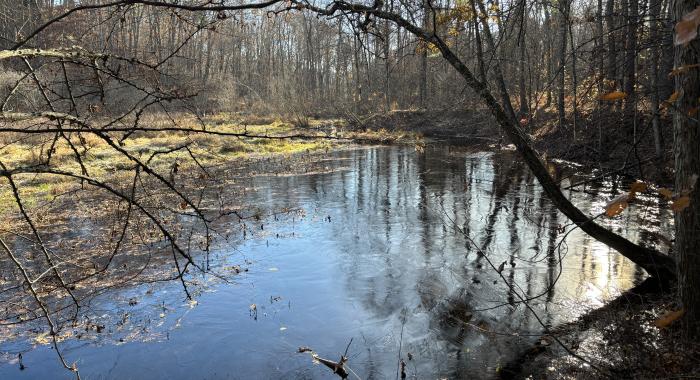 Frozen waters on the floodplain.