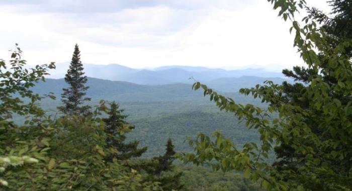 green trees and forest surrounding parted view of foggy distant green mountains