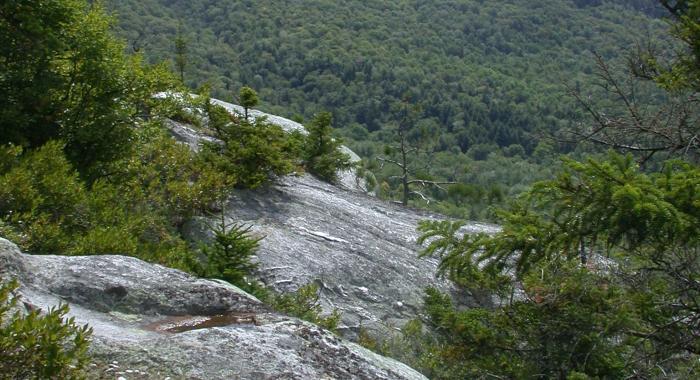 A mountain peak surrounded by green forest.