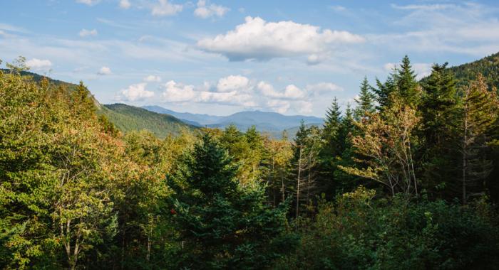 White Mountain National Forest view from the Forest Society's oldest continuously held reservation