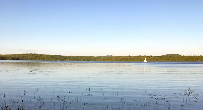 A view of a lake in summer sunshine with a sailboat on the water.