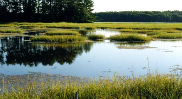 Great Bay National Wildlife Refuge