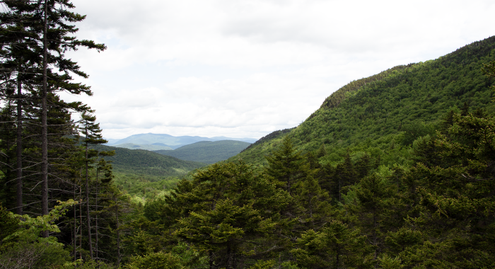 A view from Lost River Reservation toward the mountains in summer.