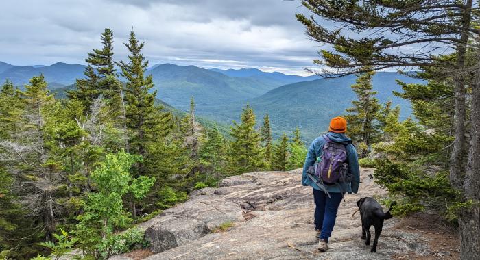 A volunteer at the summit of Mt Major with a black lab.