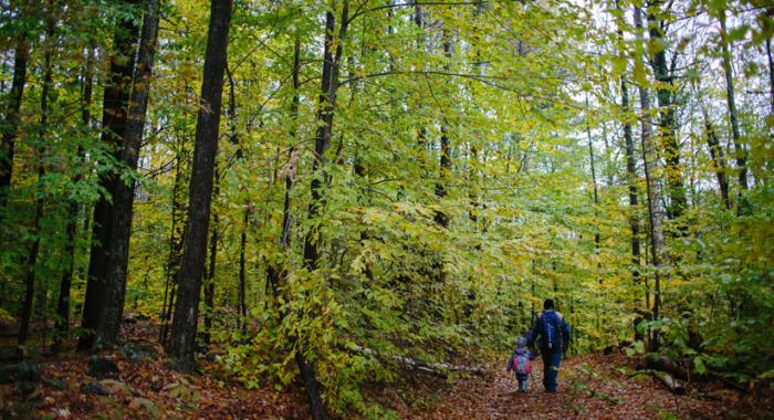 Family friendly hiking at Madame Sherri Forest in Chesterfield New Hampshire