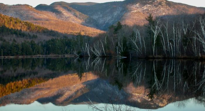 A view of land within the Mahoosic Highlands Initiative.