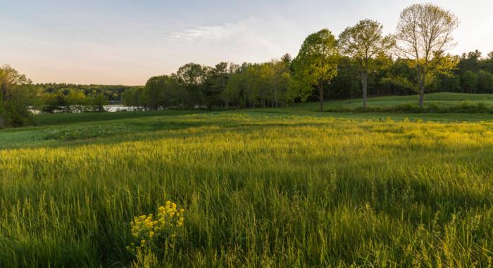 Farm field and forest under conservation in New Hampshire