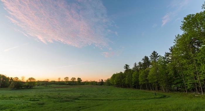 Open green field with trees in background against blue sky