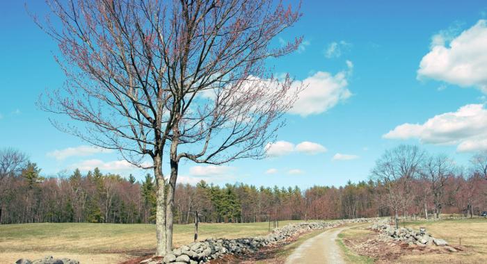 A view of the dirt road winding by a stone wall at Monson Center in spring.