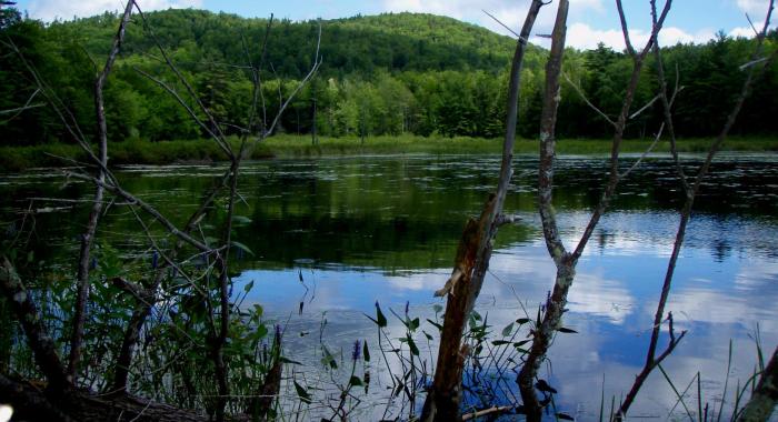 A river flows past the Moose Mountains.