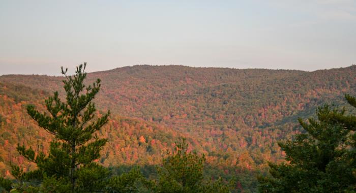 Moose Mountains