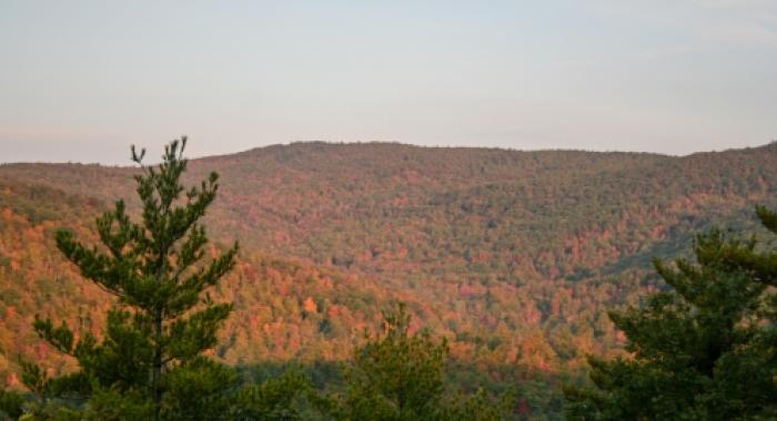 Moose Mountains distant view is full fall colors blue sky