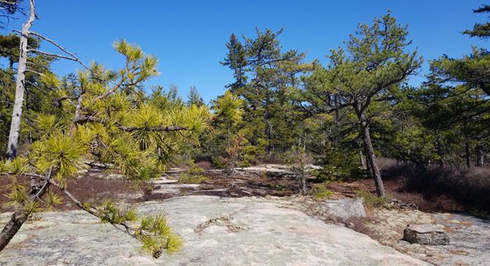 A view of a rocky hill in Middleton.