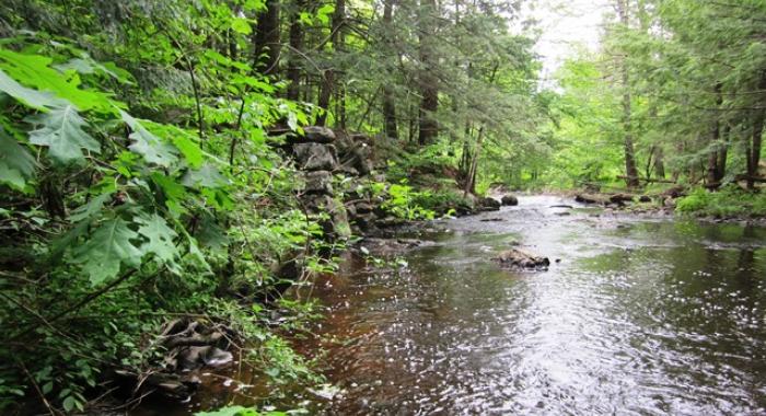 The Oyster River at Powder Major's Forest