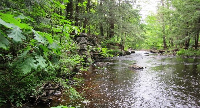 The Oyster River at Powder Major's Forest