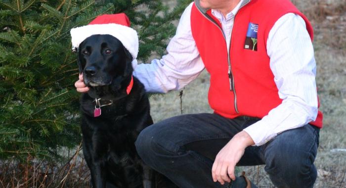 Dog and Christmas Tree