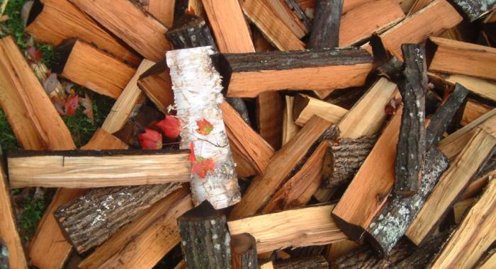 various pieces of hardwood cordwood piled, red maple leaf on top