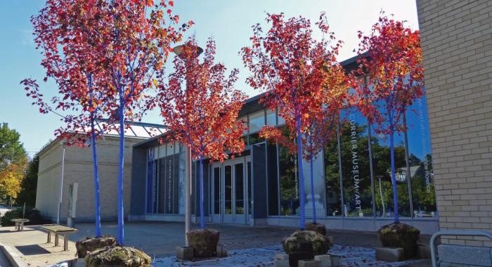 The trunks of trees, with orange leaves, are painted blue at the entrance of the Currier Museum.
