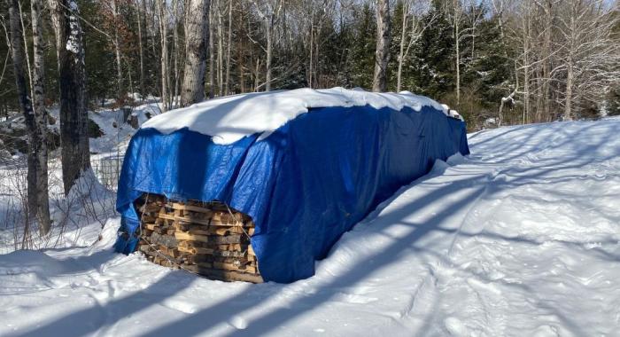 Blue tarp covers cordwood for maple sugaring evaporator