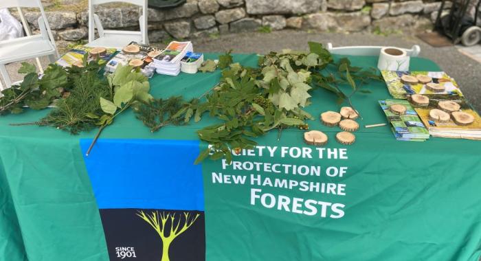 Green tablecloth tree ID display items at Old Man of Mountain event August 3