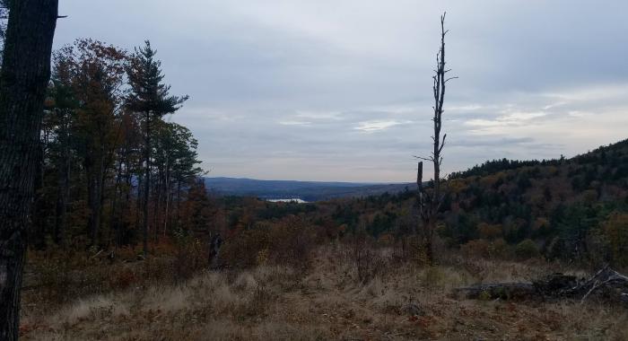 open grass area overlooking forested hills