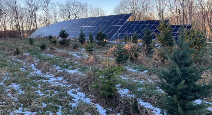 The solar array at The Rocks.