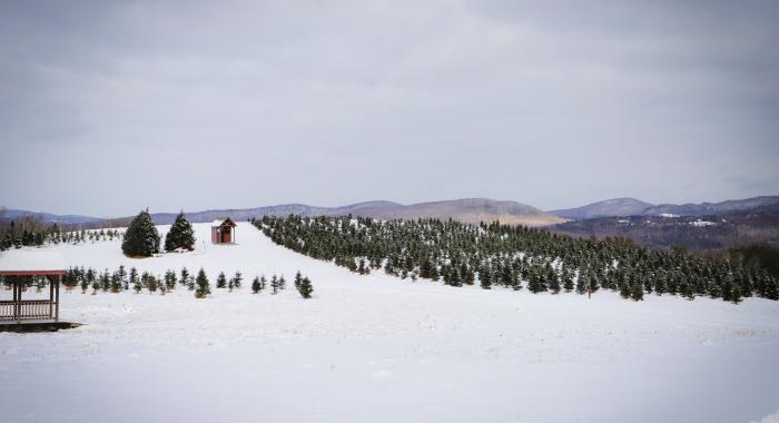 A view of The Rocks after the first snowfall. 