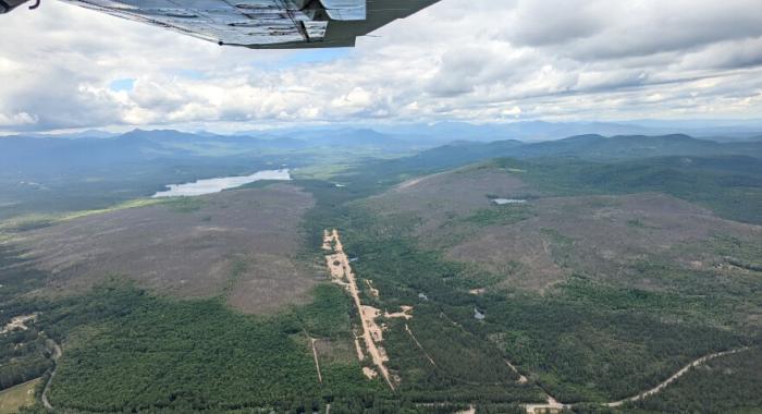 An aerial view of the spongy moth defoliation shows some green trees against the backdrop of mountains with an expanse of brown trees.