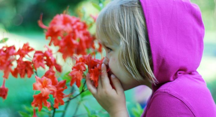 A young girl smells spring blooms