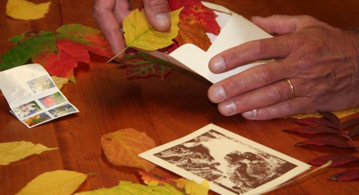 Colorful autumn leaves make a nice NH foliage season souvenir