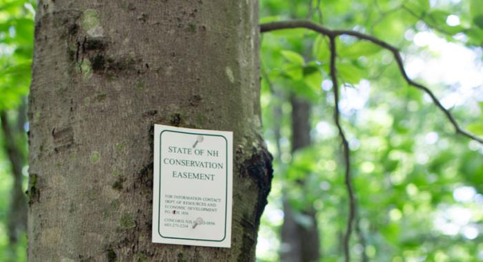 State of NH Conservation Easement Boundary Tag
