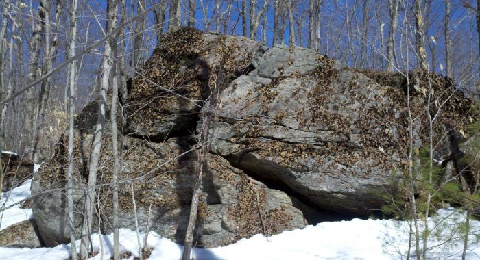 large boulder covered with rock tripe lichen
