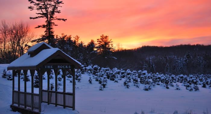 Winter Sunset at The Rocks