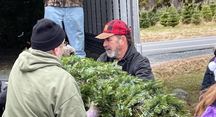 Volunteers pass trees to be loaded into a FedEx truck.