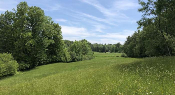 A view of a field at Tuckaway Farm.