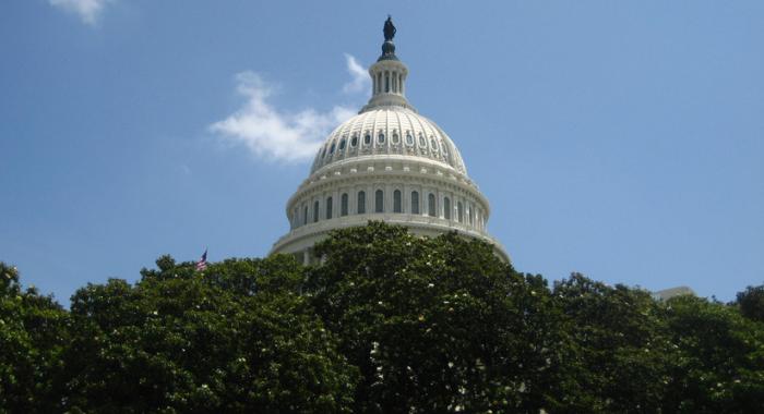 The United States Capitol Building seen above a foreground of deciduous trees.