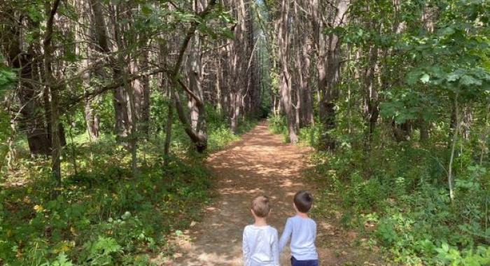 Two young boys walk through the pine forest.