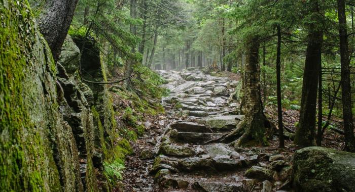 Mossy Rock Trail