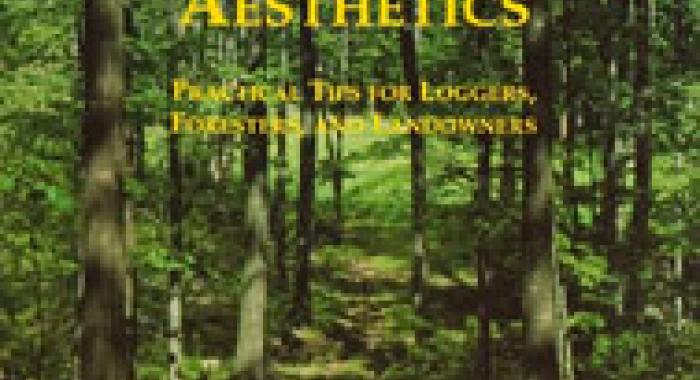A Guide to Logging Aesthetics book cover