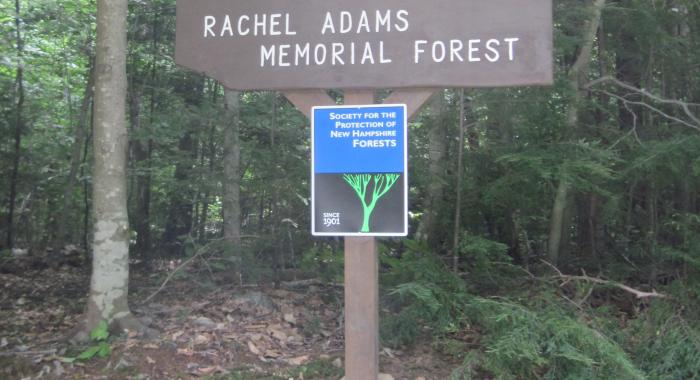 Rachel Adams Memorial Forest