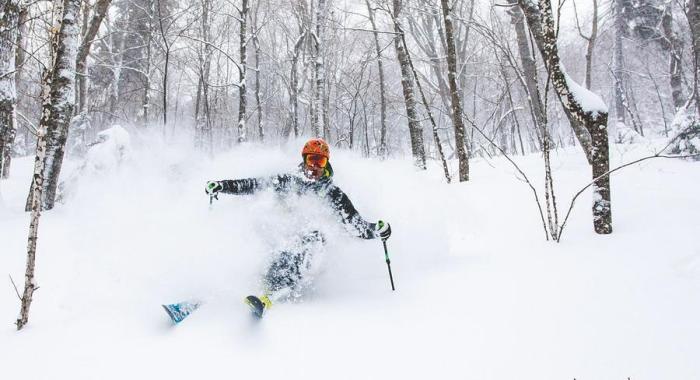 WMNF Glade Skiiing