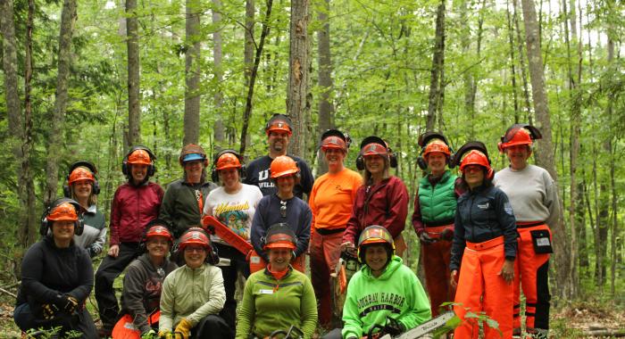Group of people in personal protective equipment holding chainsaws seated in the forest