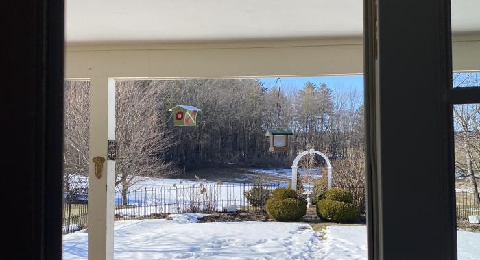 Looking out to a snowy field from an open glass door