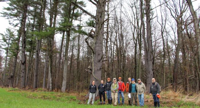 Volunteers and staff standing in front of trees